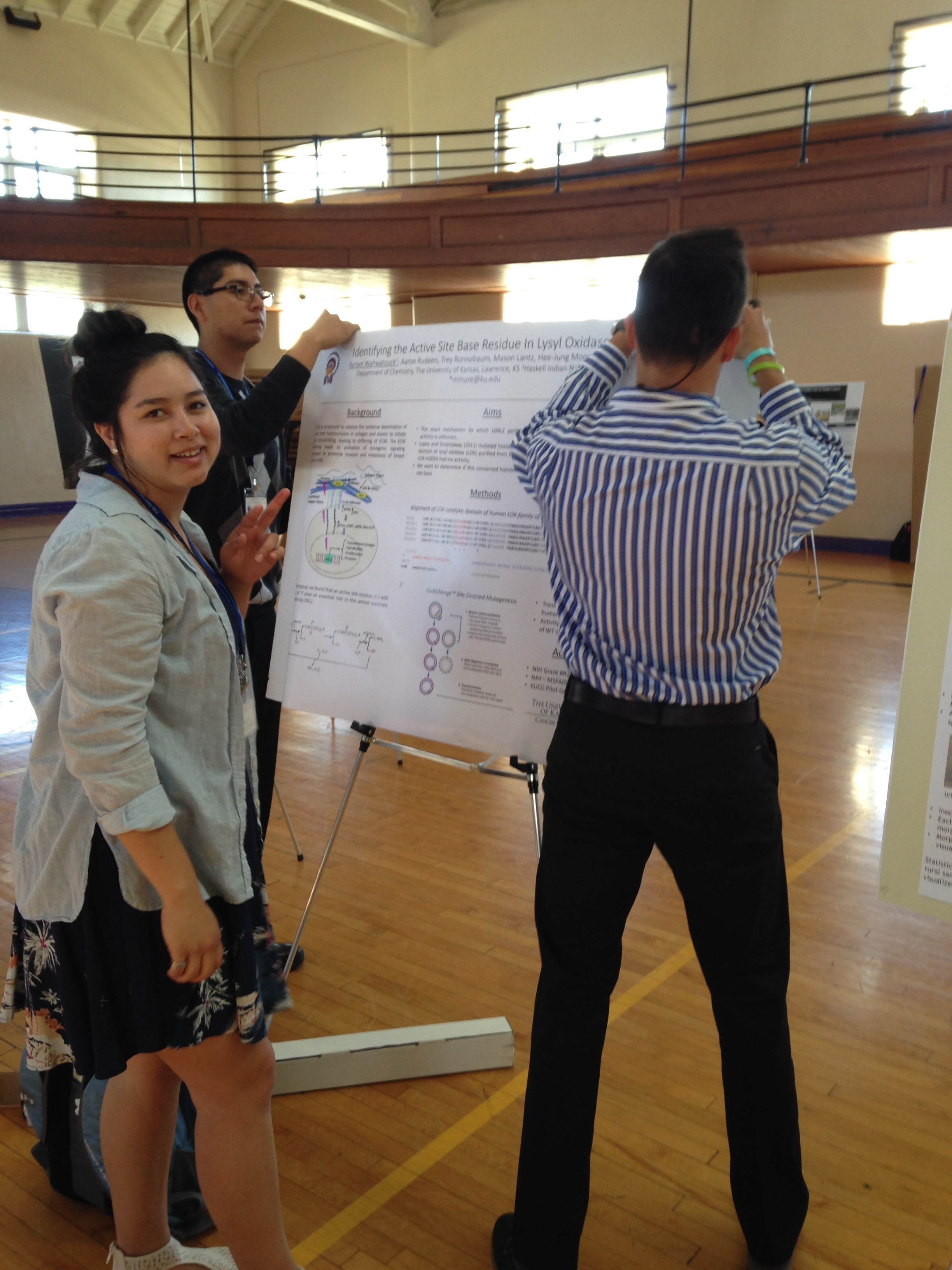Our alumni bridges to the baccalaureate research training program ku